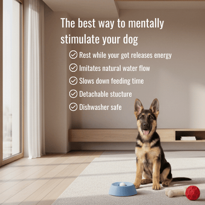 CalmCore™ Lick Bowl