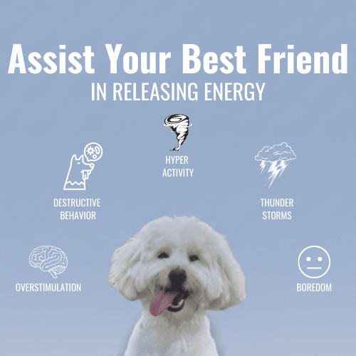 CalmCore™ Lick Bowl