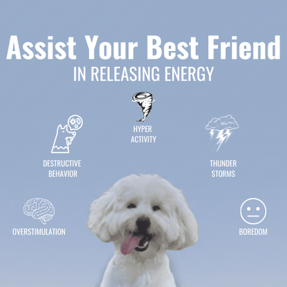 CalmCore™ Lick Bowl