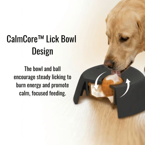 CalmCore™ Lick Bowl