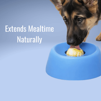 CalmCore™ Lick Bowl