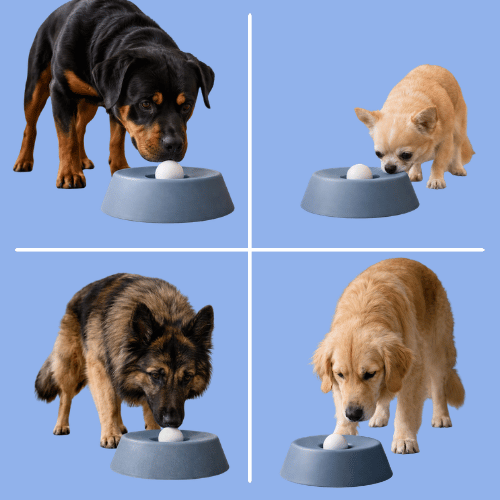 CalmCore™ Lick Bowl